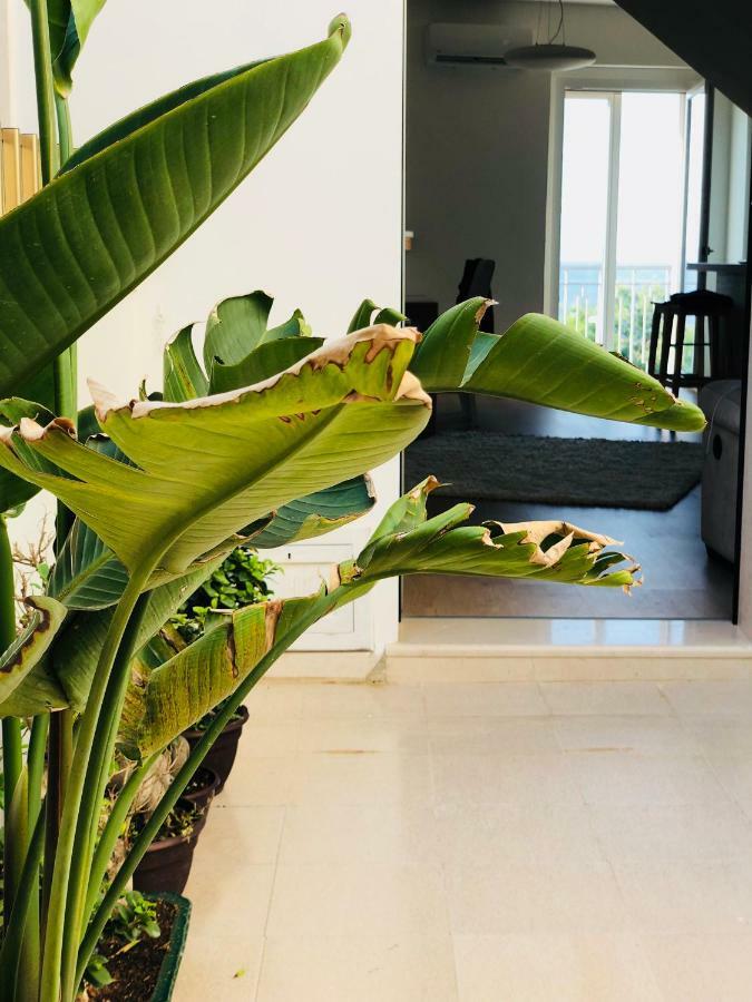 Nettuno Apartment กัลลีโปลี ภายนอก รูปภาพ